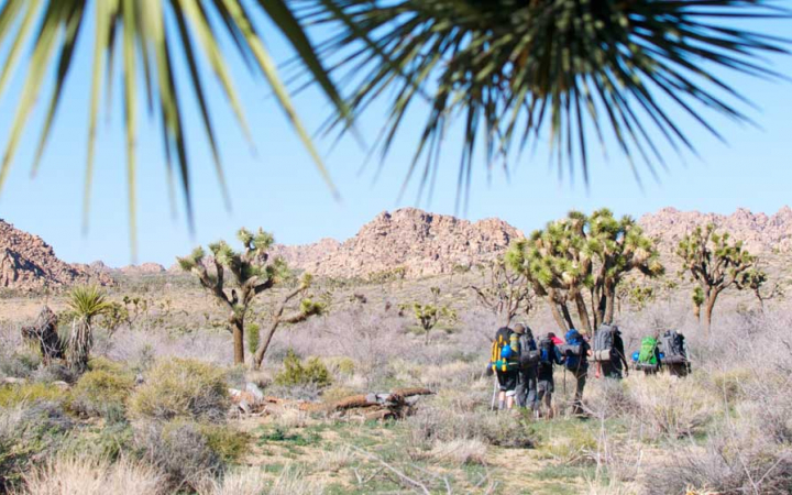 a group of people wearing backpacks hike through Joshua Tree National Park